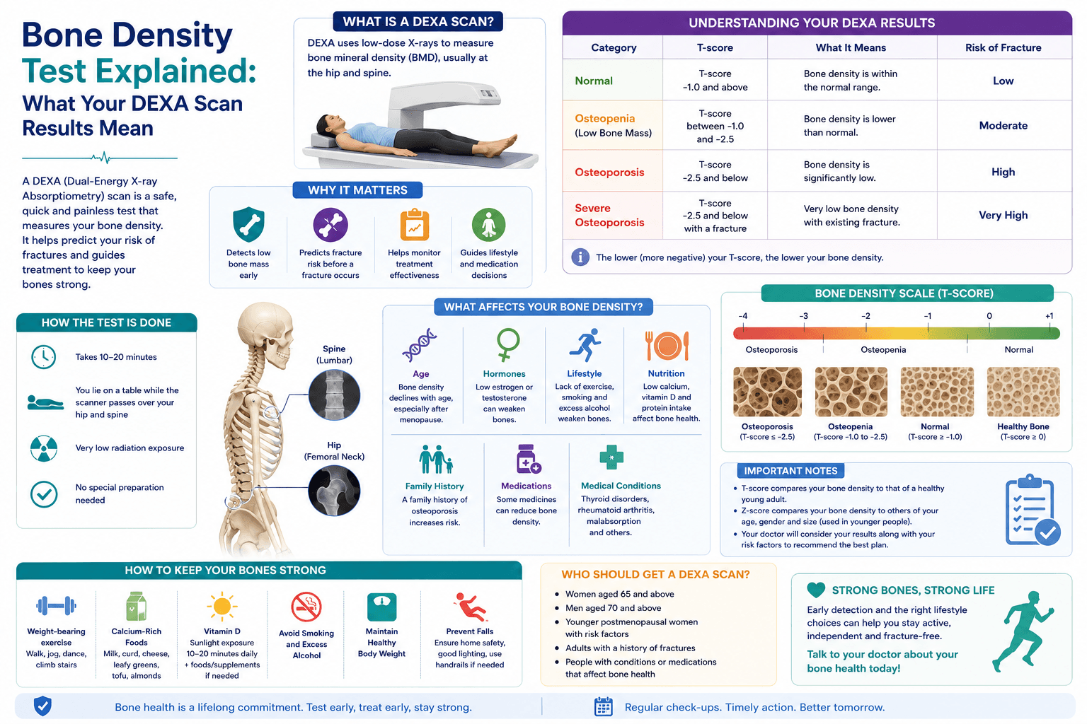 DEXA scan report showing T-score values with bone density chart and skeleton illustration