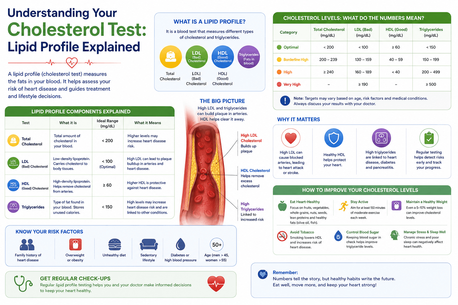 Cholesterol lipid profile report with LDL HDL triglycerides explained