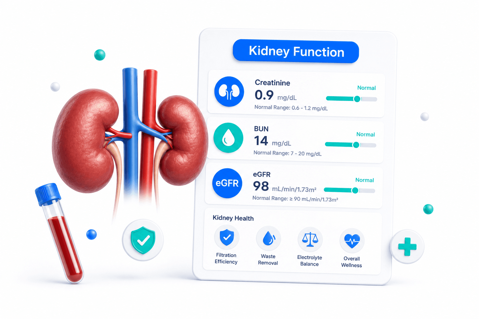 Kidney function test report with creatinine and BUN values highlighted alongside kidney illustration