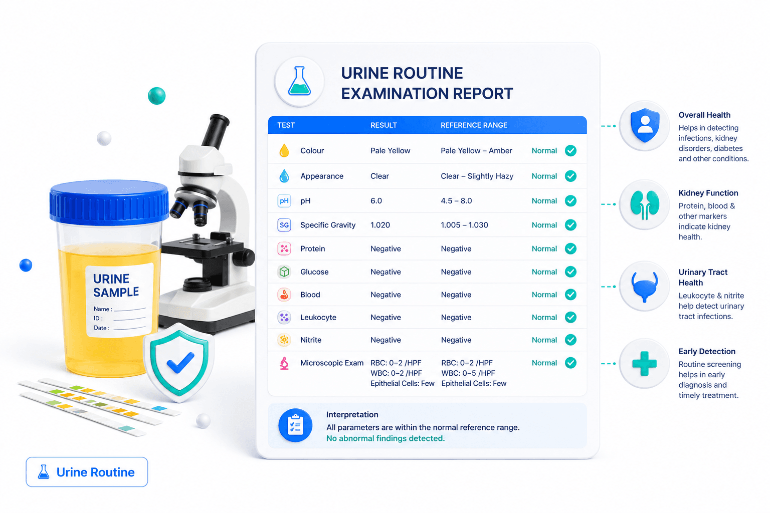 Urine routine examination report with pus cells and protein values highlighted alongside kidney and urinary tract illustration