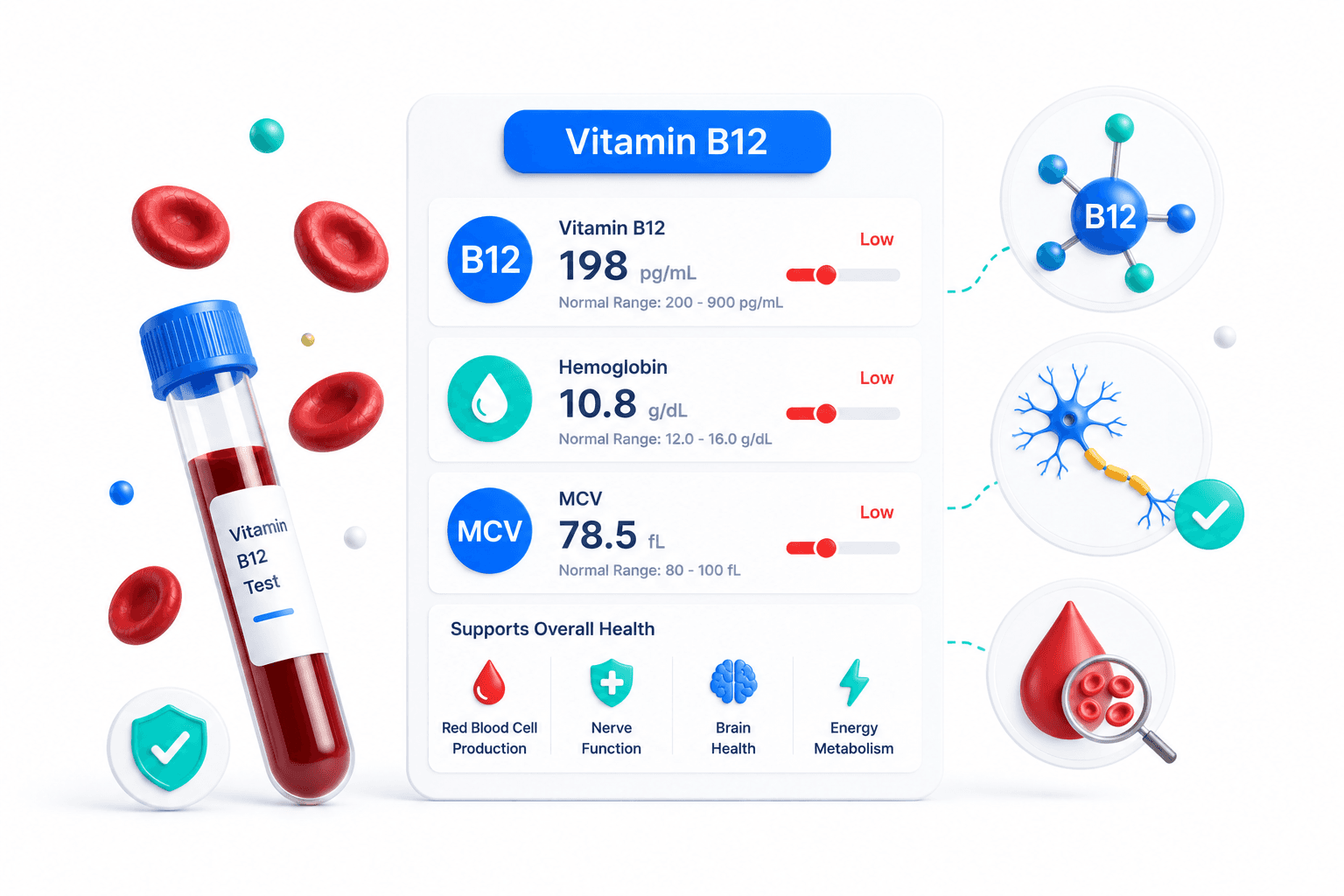 Vitamin B12 blood test report with deficiency range highlighted alongside neuron and red blood cell illustration